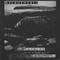 Necrophorus