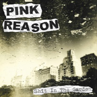 Pink Reason