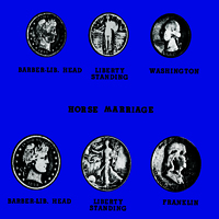 Horse Marriage