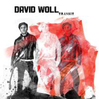 David Woll
