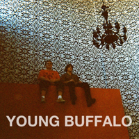 Young Buffalo