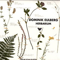 Eulberg, Dominik