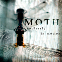 Moth (USA)