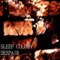 Sleep Column