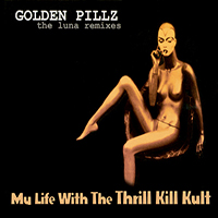 My Life With the Thrill Kill Kult
