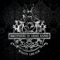Brothers In Arms Band