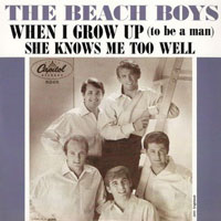 The Beach Boys - U.S. Singles Collection (The Capitol Years 62-65), 2008