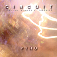 Circuit Electro Acoustic Ensemble