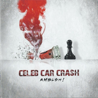 Celeb Car Crash