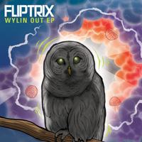 Fliptrix