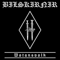 Bilskirnir