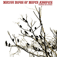 Native Birds of North America