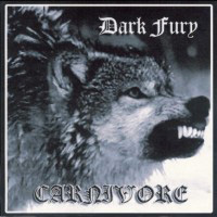 Dark Fury