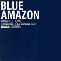 Blue Amazon