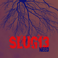 Slug13