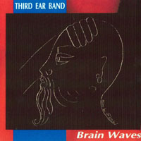 Third Ear Band