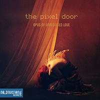 Pixel Door