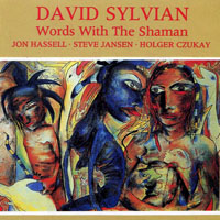 David Sylvian