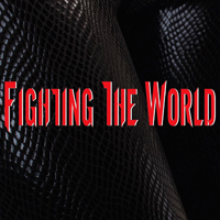 Fighting The World
