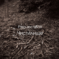 Project VIII
