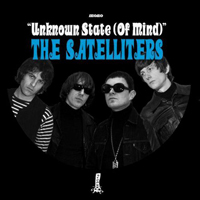 Satelliters