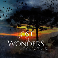 Lost In Wonders