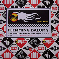 Dalum, Flemming