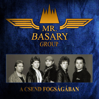 Mr. Basary Group