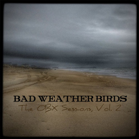 Bad Weather Birds