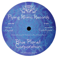Blue Planet Corporation
