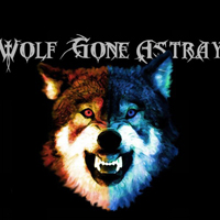 Wolf Gone Astray