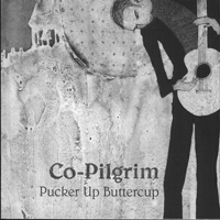Co-Pilgrim