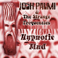 Josh Palmi & The Strange Frequencies