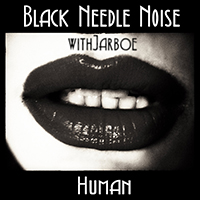 Black Needle Noise