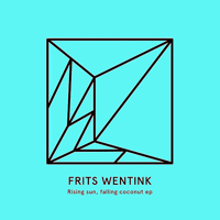 Frits Wentink