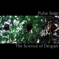 Pulse State (USA)