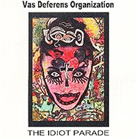 Vas Deferens Organization