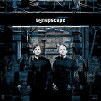 Synapscape