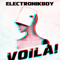 Electronikboy