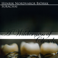 Henrik Nordvargr Björkk