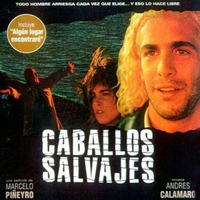Andres Calamaro