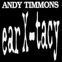Andy Timmons Band