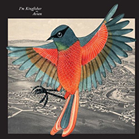 I'm Kingfisher