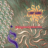 Loop Guru