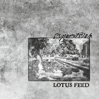 Lotus Feed