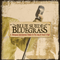 Blue Suede Bluegrass - Duncan, Craig (Craig Duncan)