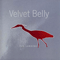 The Landing - Velvet Belly