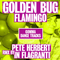Flamingo Remix EP - Golden Bug (Antoine Harispuru)