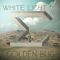 White Light 76 - Golden Bug (Antoine Harispuru)