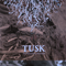 The Resisting Dreamer - Tusk